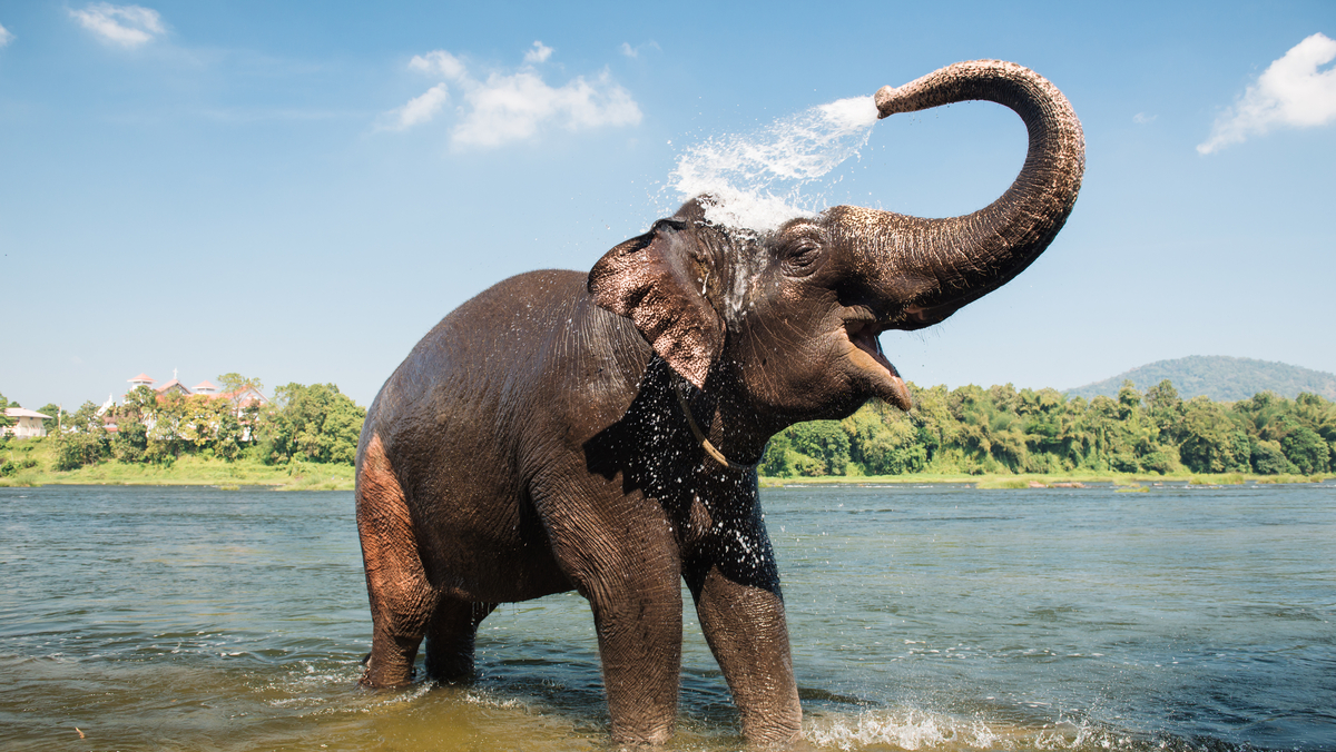 Wildlife Sancturies in India