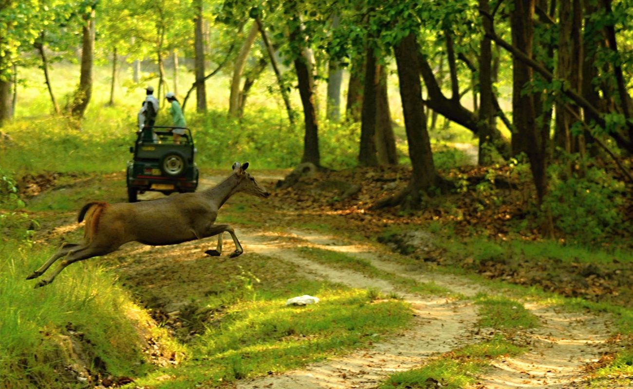 Wildlife Sancturies in India